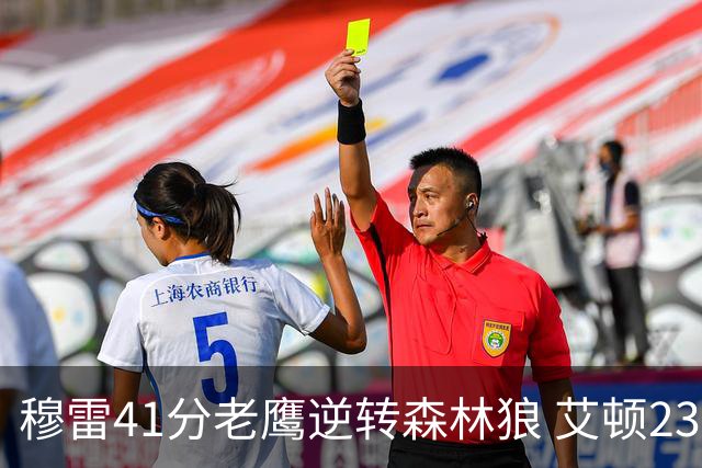 穆雷41分老鹰逆转森林狼 艾顿23板开拓者首胜